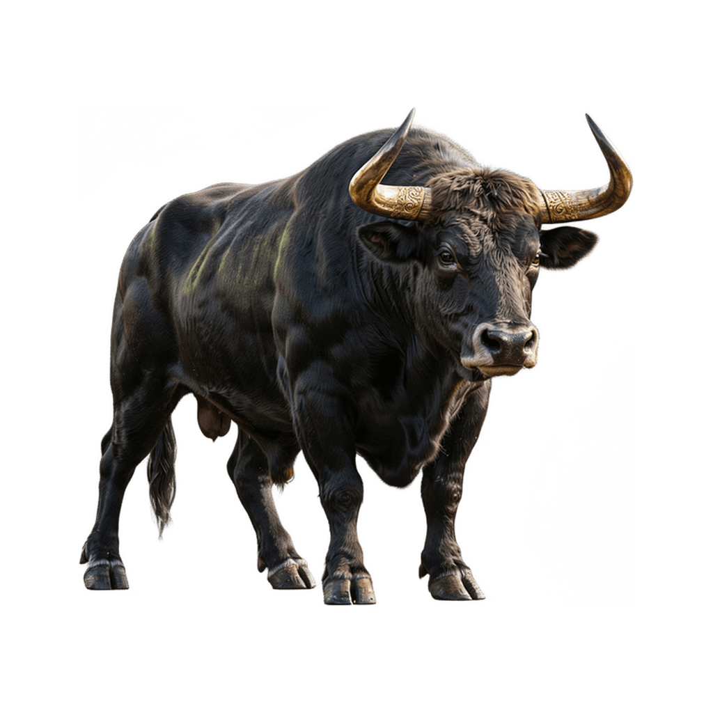 Ox